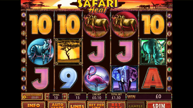 Safari Heat 9