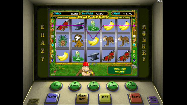 Crazy Monkey 6
